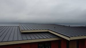 Best Steel Roofing  in Sea Ranch, CA